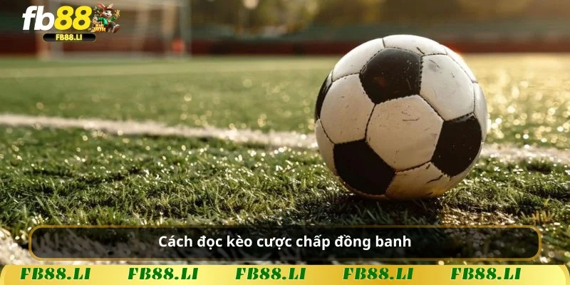 Cách đọc kèo cược chấp đồng banh