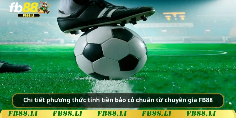 Chi tiết phương thức tính tiền bảo cỏ chuẩn từ chuyên gia FB88